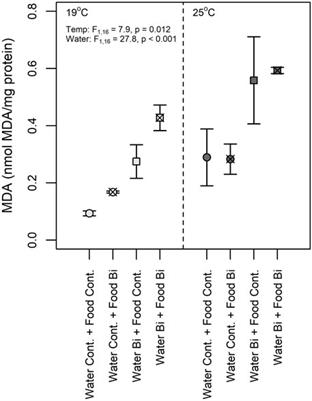 Interactive effects of bismuth exposure (water and diet) and temperature on snail fatty acid composition, antioxidant enzymes and lipid peroxidation